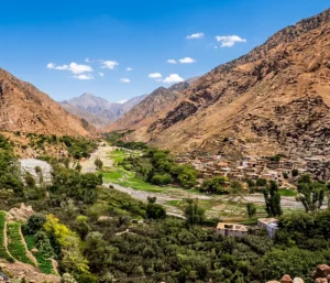 Summer (June–August)