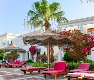 Where to Stay in the Medina