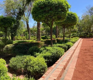 Cyber Parc Arsat Moulay Abdeslam