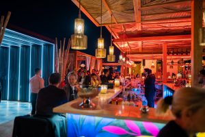 akira back the rooftop